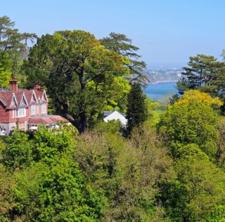 Orestone Manor Orestone Manor Scoops Triple Gold