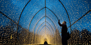 Festive-feel Beaulieu stars