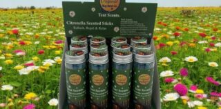 Official launch of Bug Bands and Tent Scents
